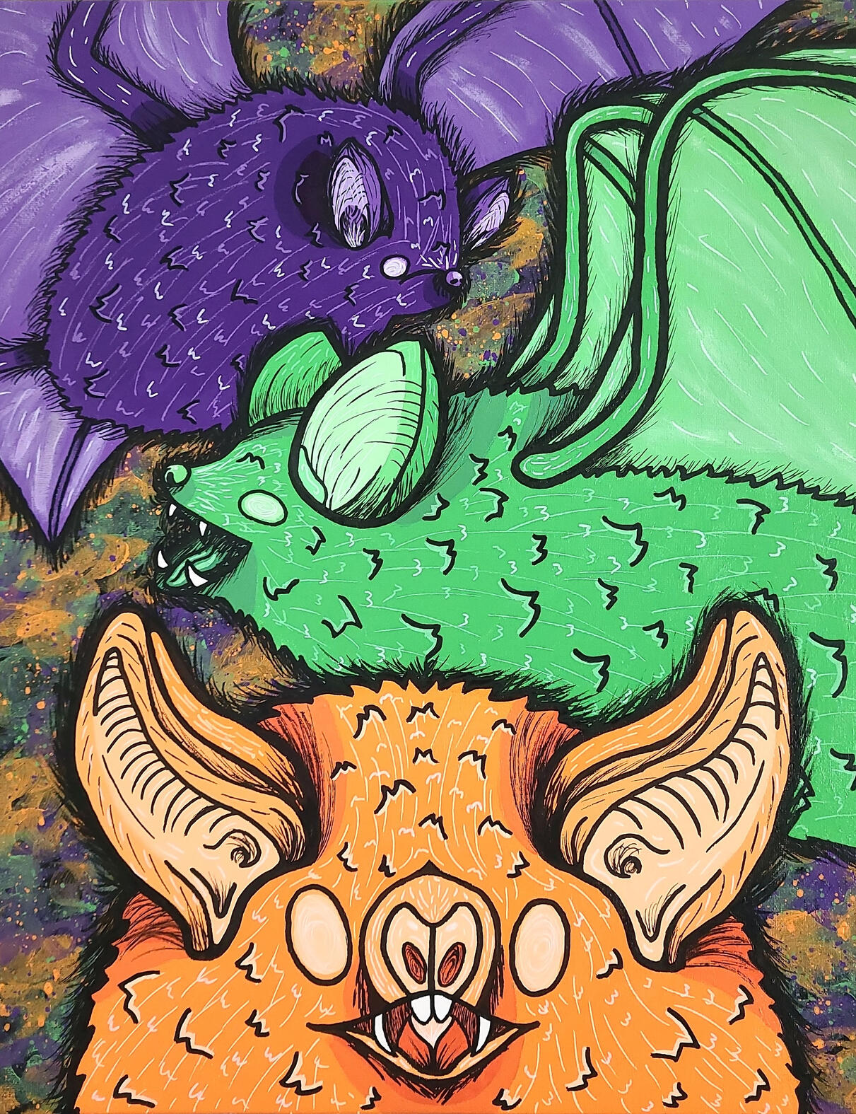 Chiroptera In Colour